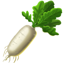 Icon-radish-500-20241021-034444.png