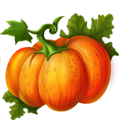 Icon-pumpkin-500-20241021-034444.png